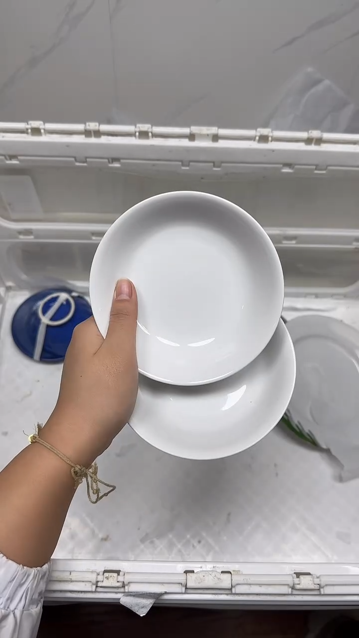 【闪购商品】296回流瓷器，默认微瑕18.8包邮