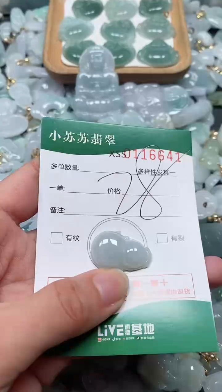 【闪购商品】翡翠颈饰未镶嵌闪购商品0116641