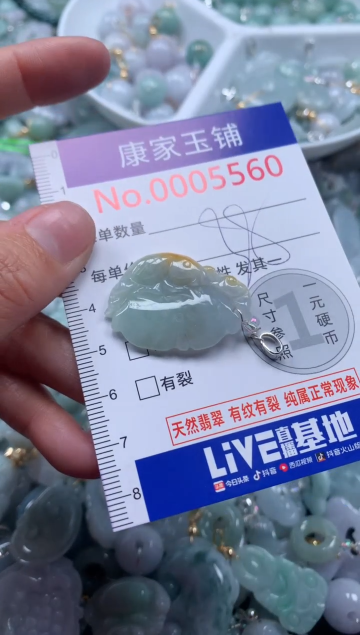 颈饰未镶嵌翡翠5560