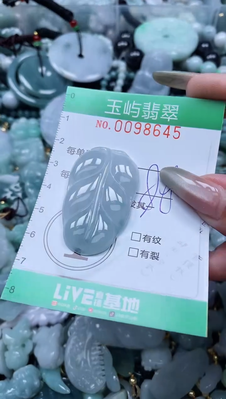 【闪购商品】翡翠未镶嵌颈饰闪购0098645