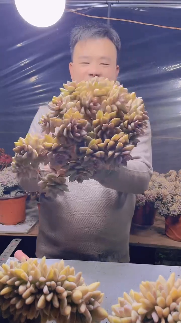 【闪购商品】缀化141