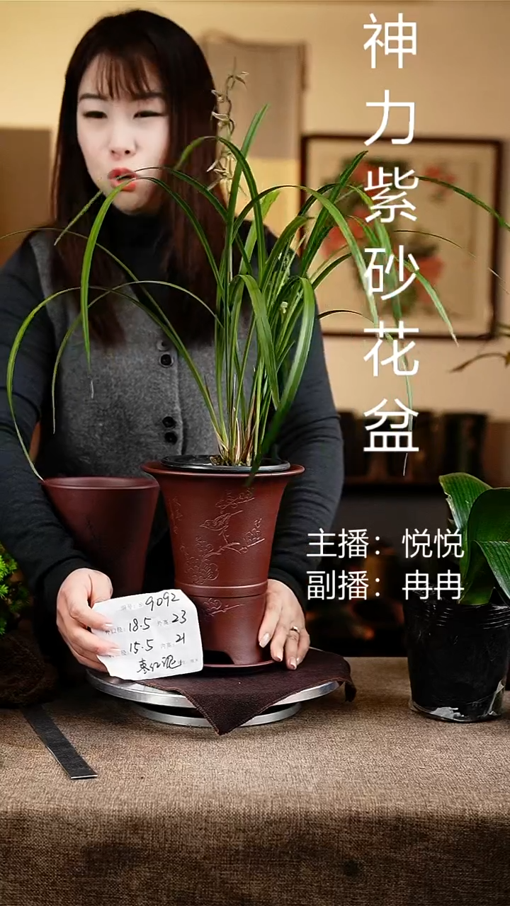 紫砂花盆花卉工艺9092+z