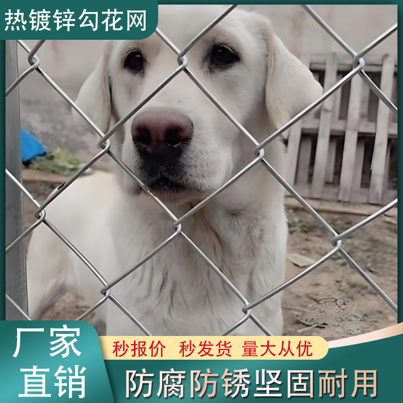 热镀锌勾花网铁丝网围栏网养鸡狗牛羊养殖网钢丝网户外防锈防护网