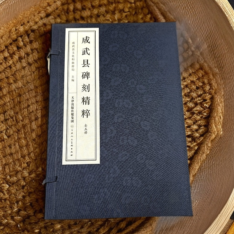 成武县碑刻精粹:全五册