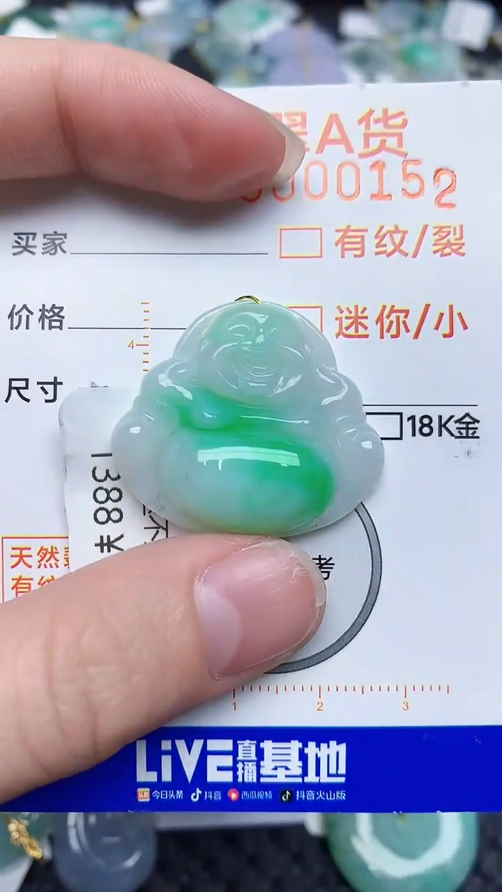【闪购商品】翡翠颈饰未镶嵌5645345345