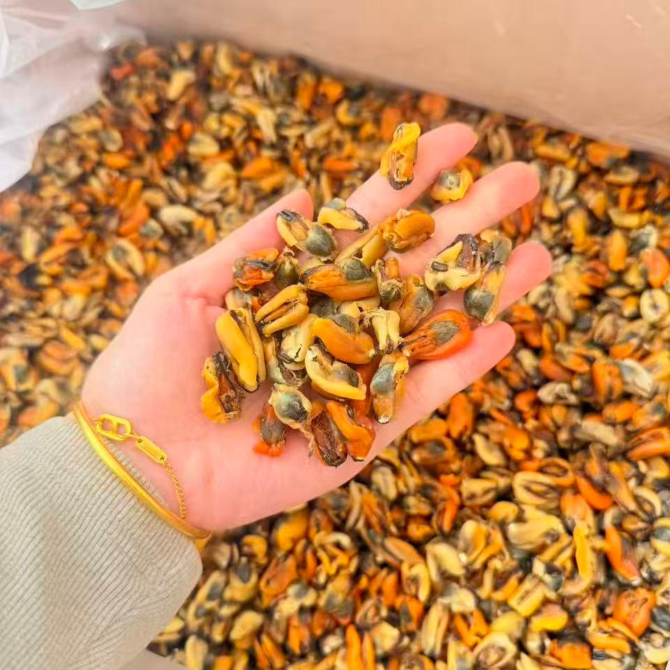 台山渔民自晒淡菜干