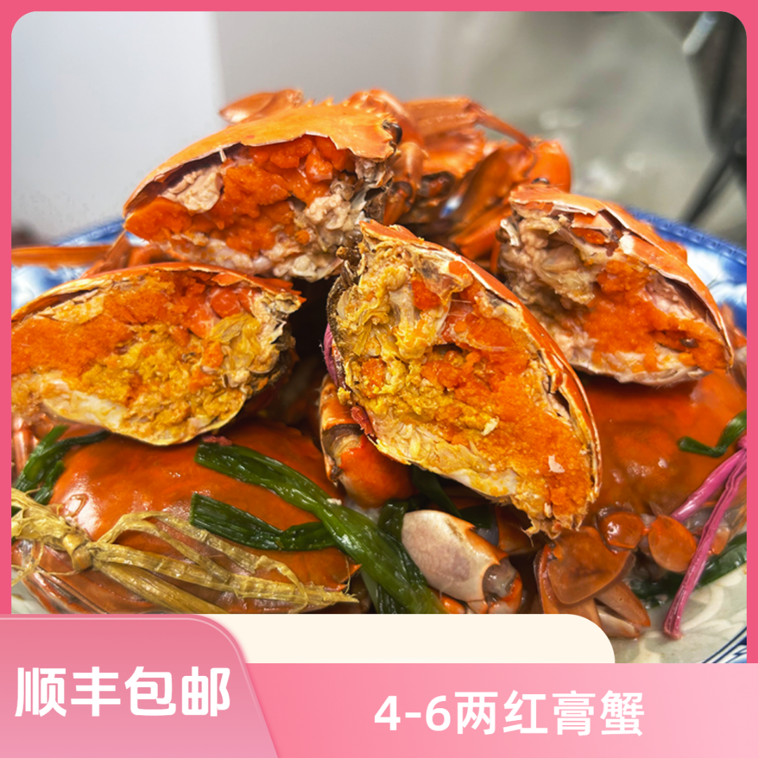 三【4-6两红膏蟹】【买2只在送1只】青蟹海鲜螃蟹顺丰冷链到家母蟹 4-6两/只 红膏青蟹