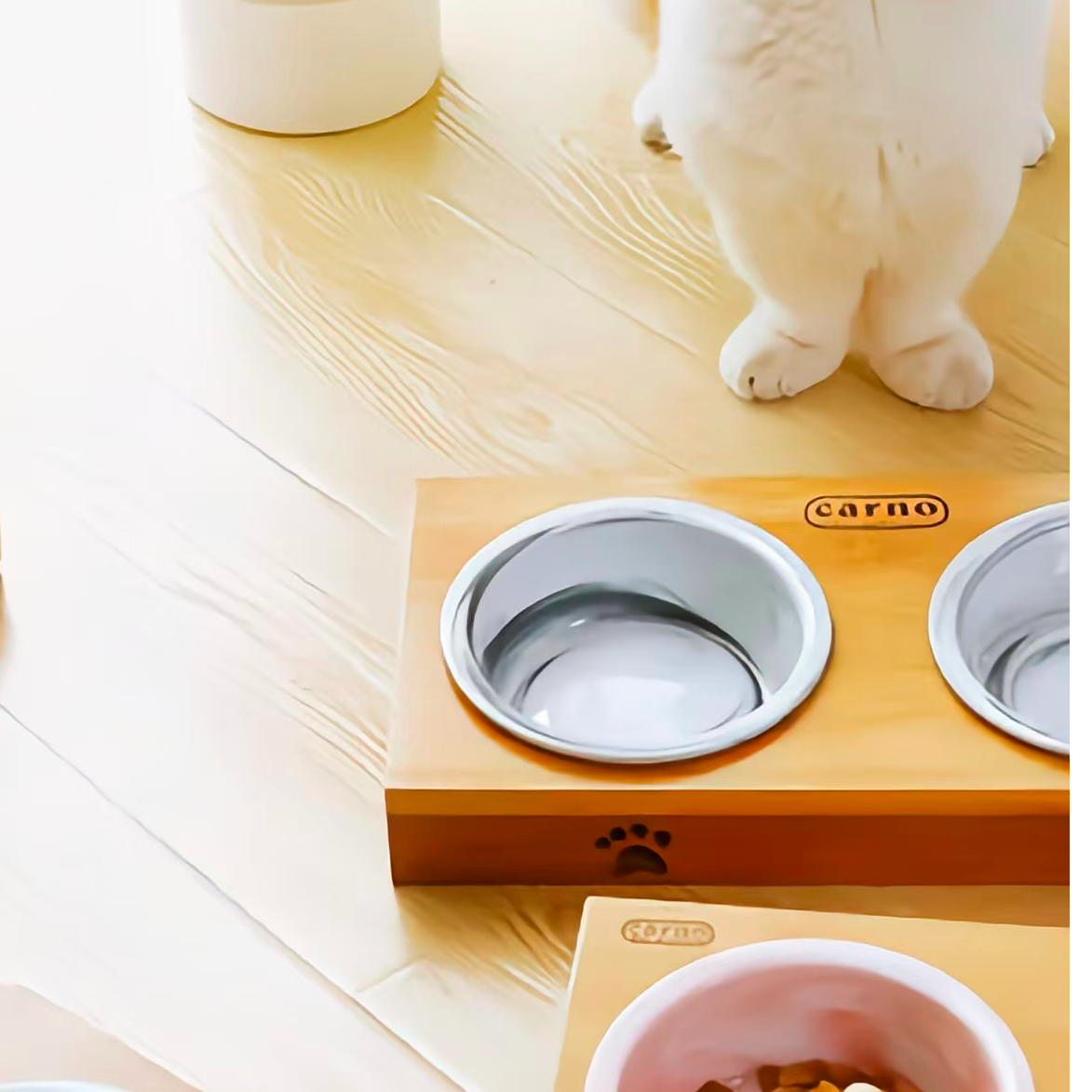 萌宠·宠物猫猫用品