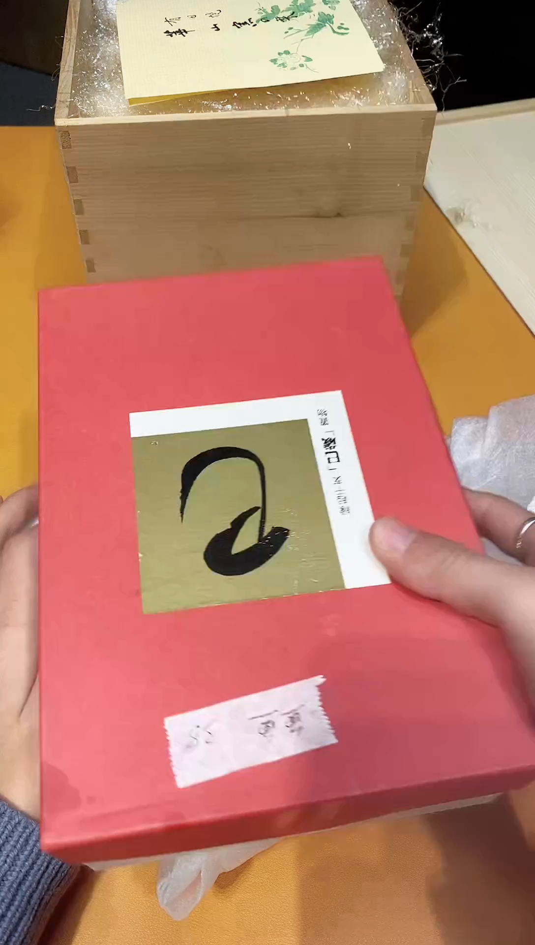 杯鱼*鱼大大大大大大大大漂亮