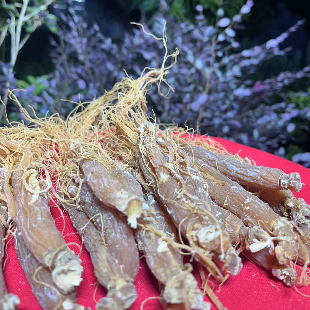 1【百-年-红-参】净含量100g-1000g【阿徐现收】