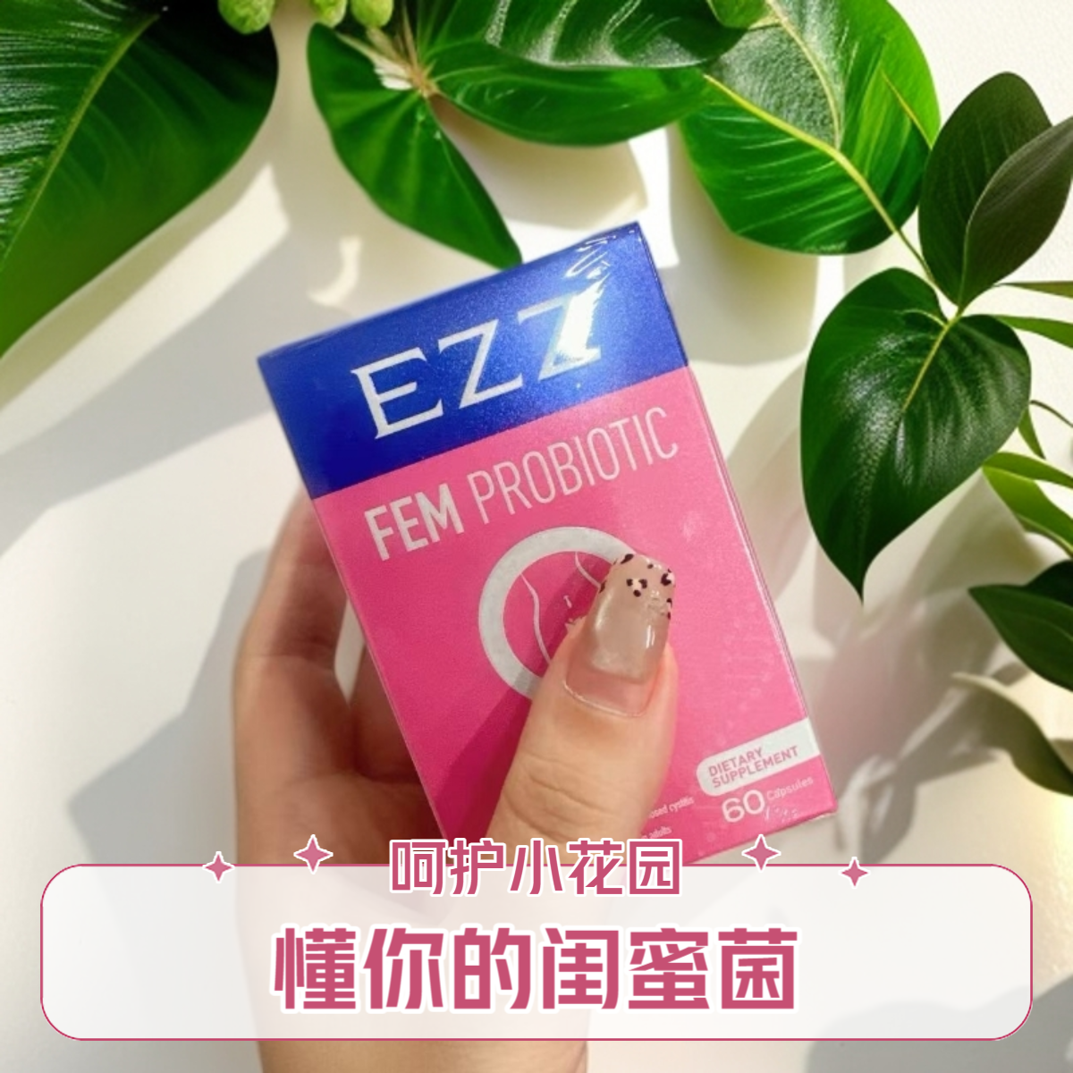 到26年3月【呵护小花园~】EZZ女士闺蜜菌 60粒/瓶
