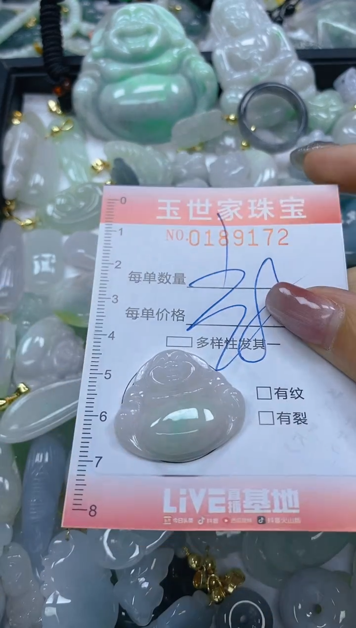 【闪购商品】翡翠颈饰未镶嵌闪购0189172