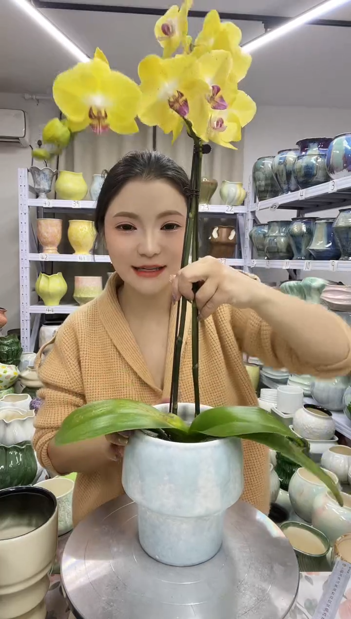 【12.4号】  花盆  高 ：   16口：12