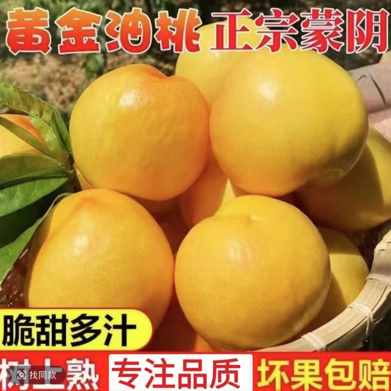 沂蒙山助农 蒙阴头茬正宗黄油桃 油4号 新鲜水果当天现摘包邮3.5-5斤当季新鲜水果桃子桃子同城送山东省