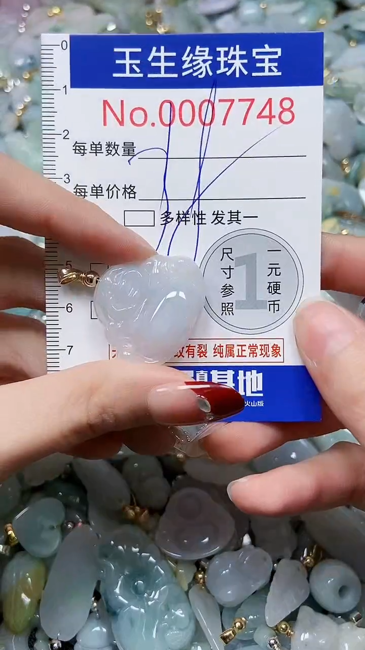 【闪购商品】翡翠颈饰未镶嵌闪购00007748