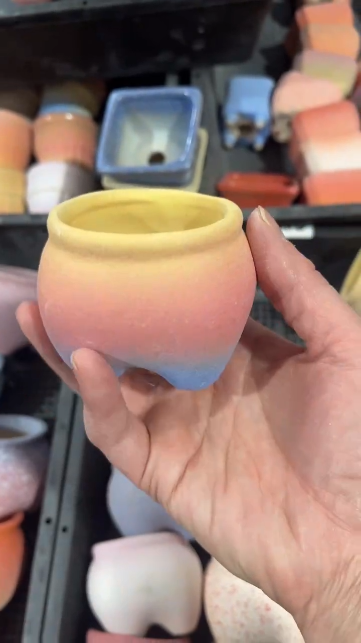 【闪购商品】红陶6*6