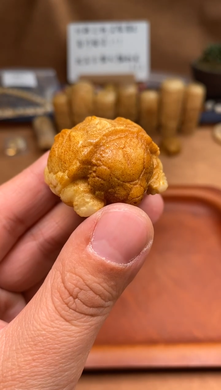 【闪购商品】鹿骨其他杂件159-鹿角鳄龟雕刻