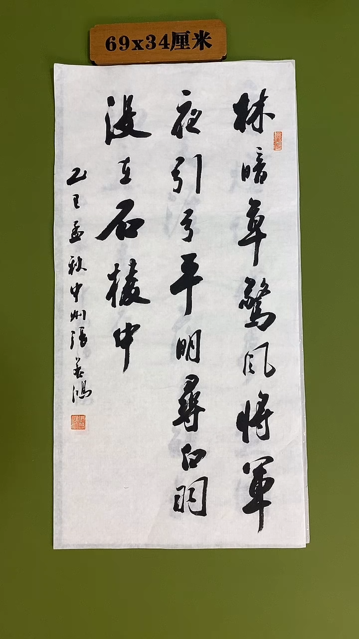 书法书法 张若鸿 尺寸69cm*34cm