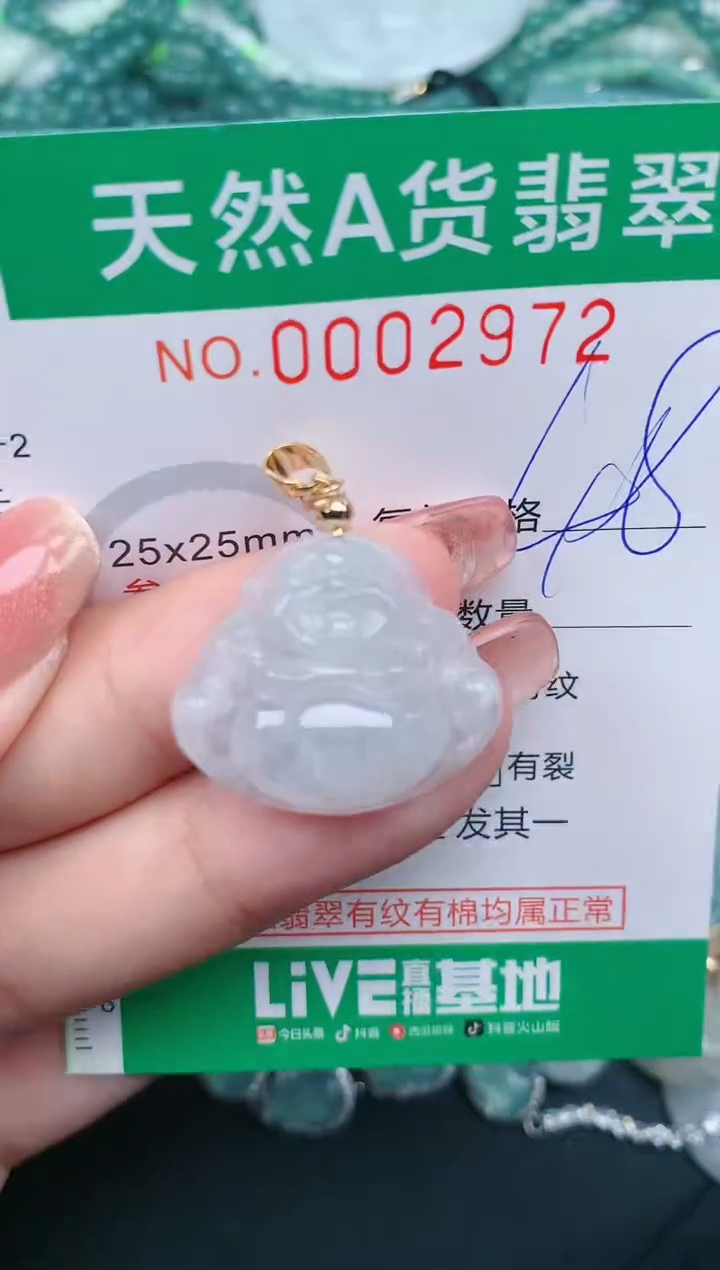 【闪购商品】翡翠颈饰未镶嵌.0002972