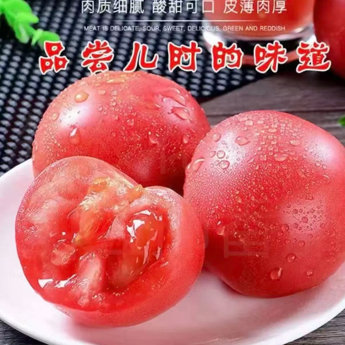 露天沙瓤西红柿应季水果蔬菜露天番茄酸甜多汁1