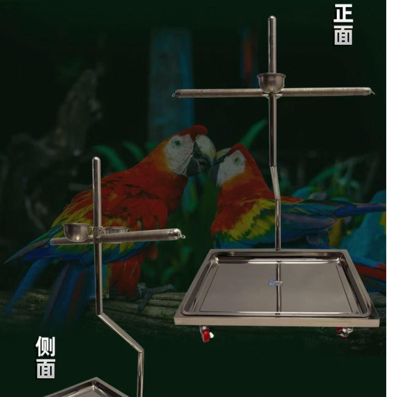 中大型鹦鹉不锈钢站架