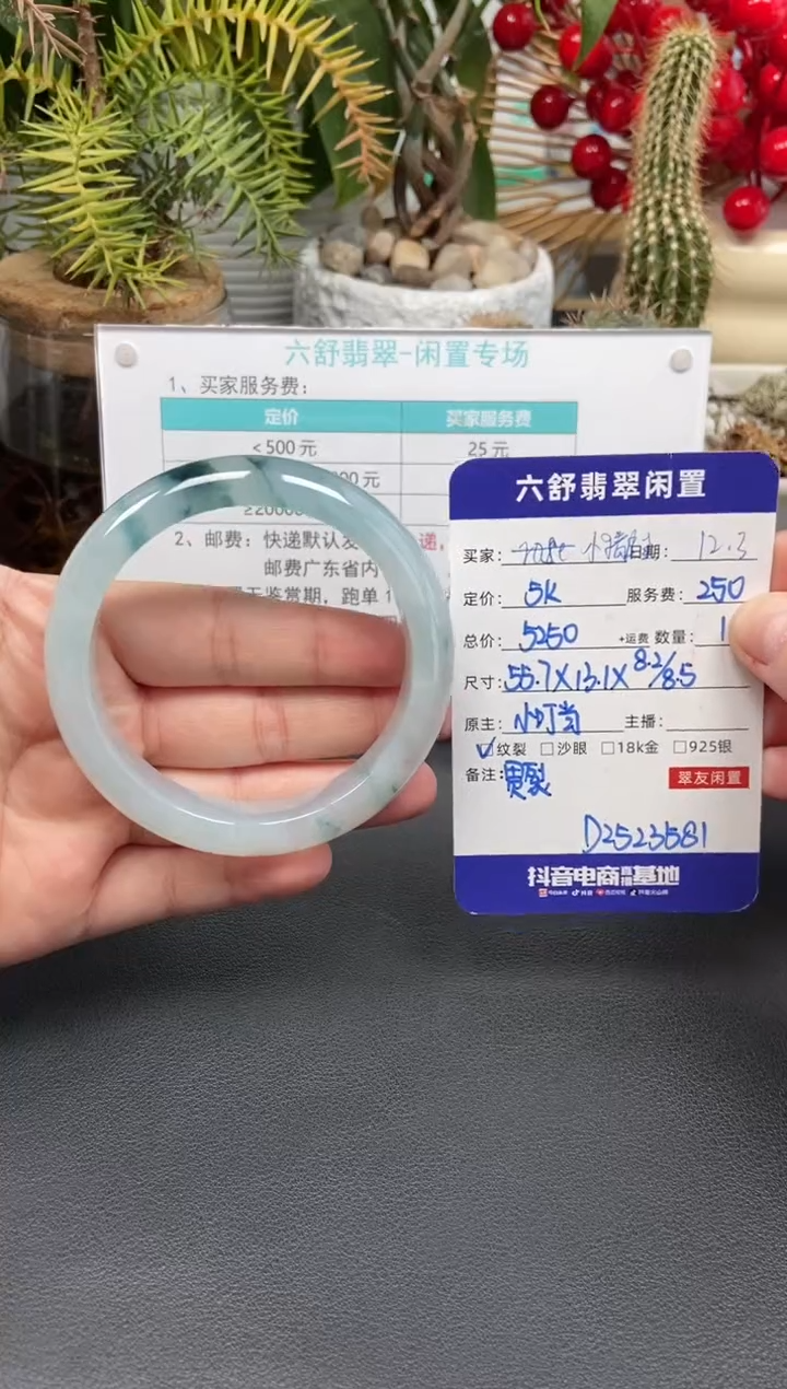 未镶嵌手镯翡翠小**杰D2523581
