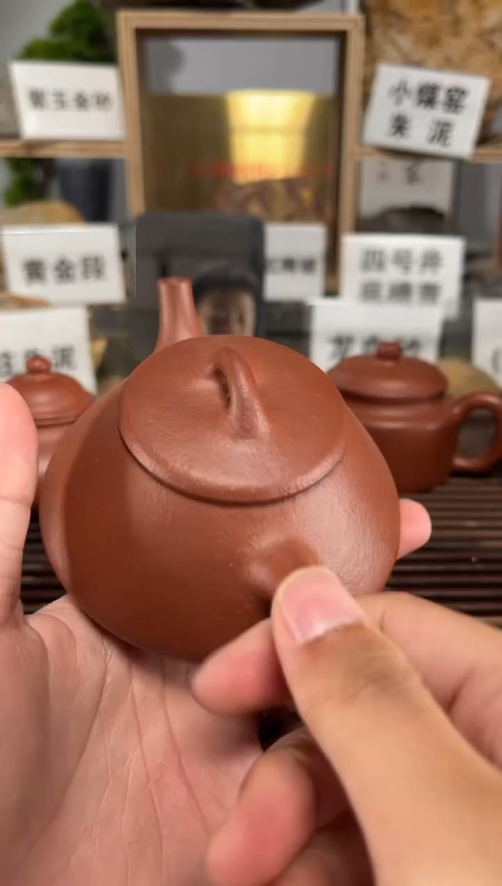 【闪购商品】紫砂茶壶粗砂降坡任瓢