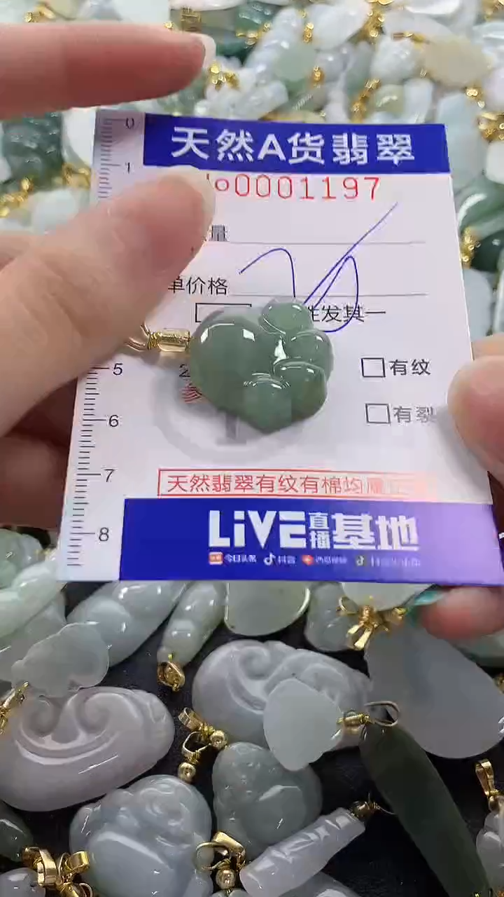 颈饰未镶嵌翡翠纯天然a货翡翠