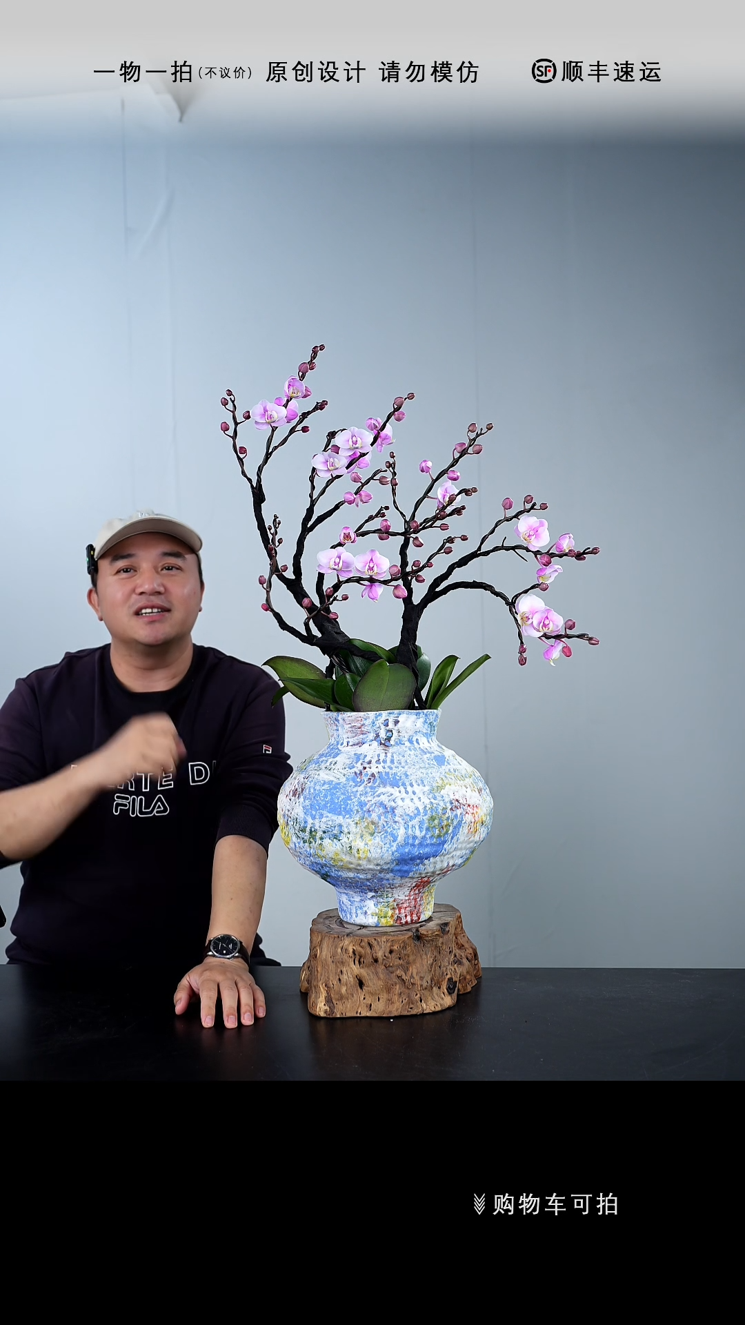 【闪购商品】033号链接【一物一拍】艺术盆景