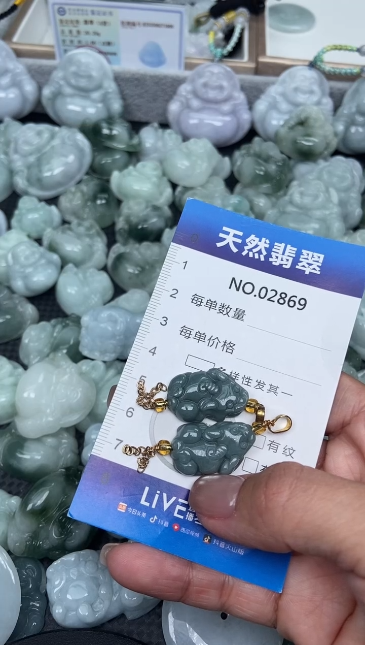 颈饰未镶嵌翡翠纯天然A货翡翠2869