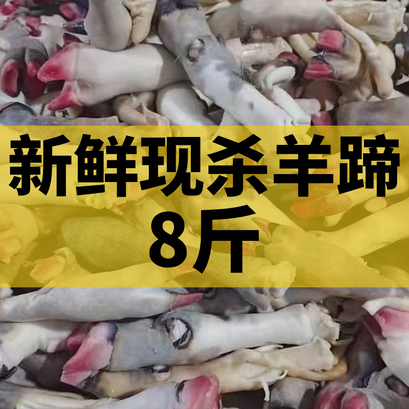 T2新鲜羊蹄子（拍5斤送3斤）生羊蹄带筋现杀羊脚麻辣羊蹄