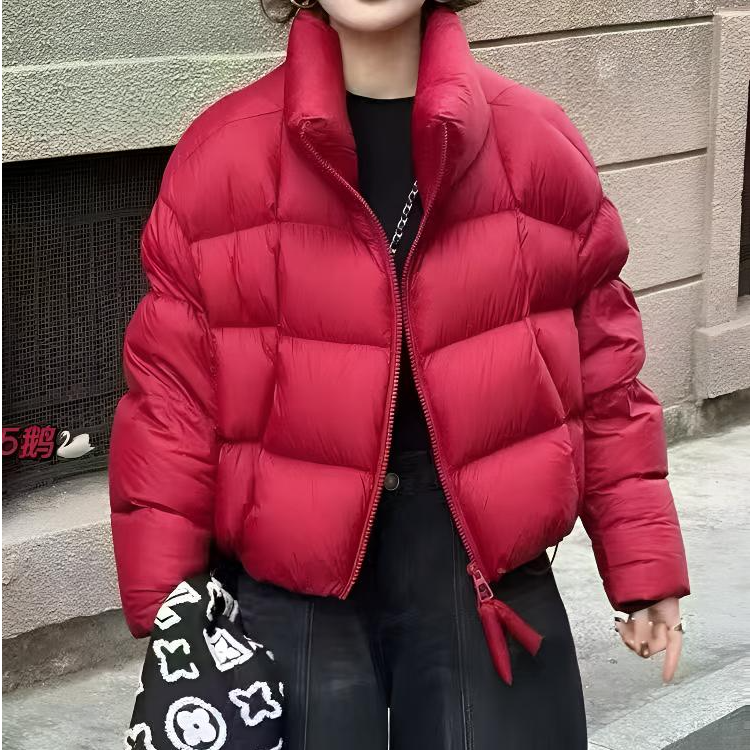 【小辣椒】2025新款立领韩系拉链女款羽绒服