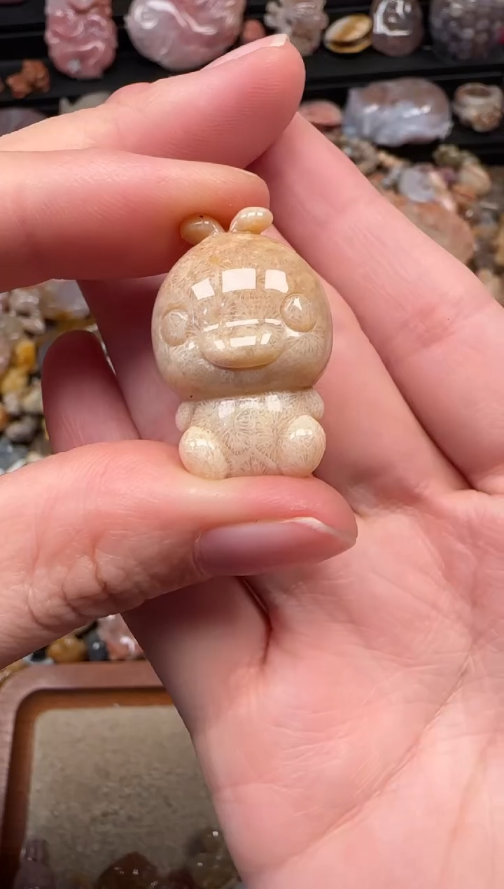 颈饰未镶嵌硅化珊瑚（珊瑚玉）152