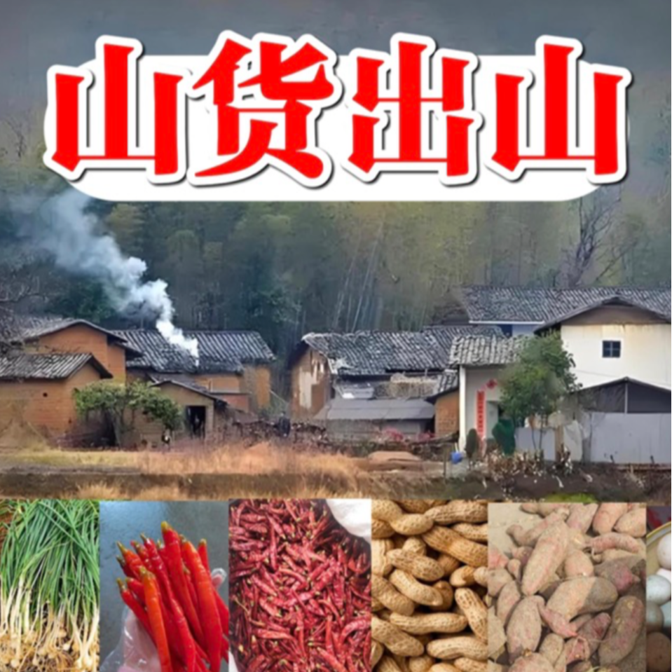 【山菜专属】现场直播收山货初级农产品老乡自产自销