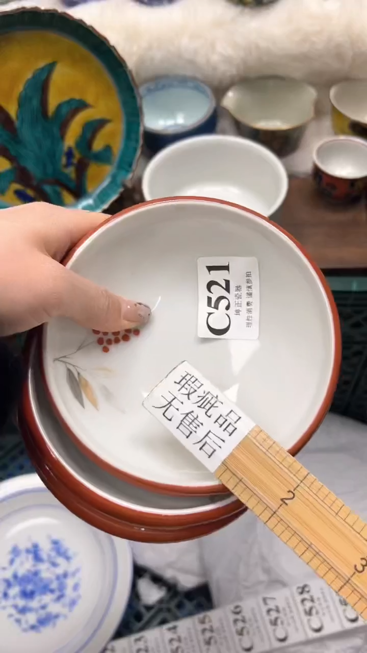 【闪购商品】瓷片          C521