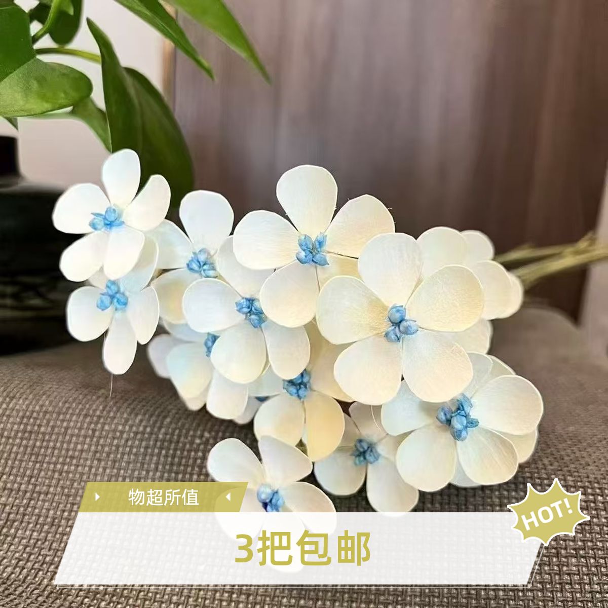 干花紫罗兰新品紫罗兰干花DIY花束花店节日干花花束