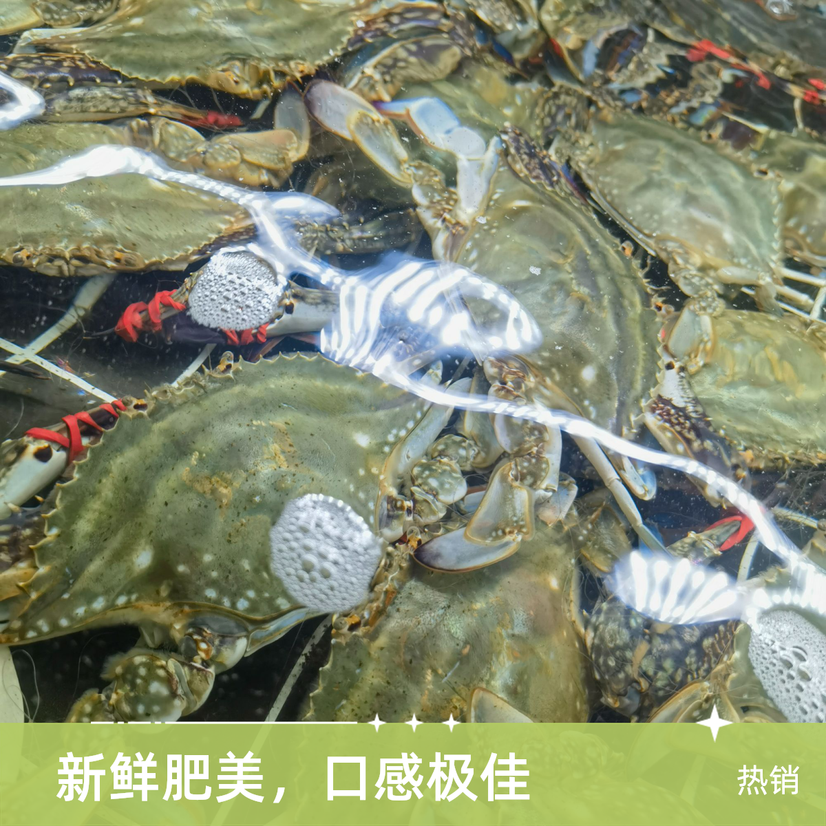 刚噶梭子蟹59.8元3斤海鲜