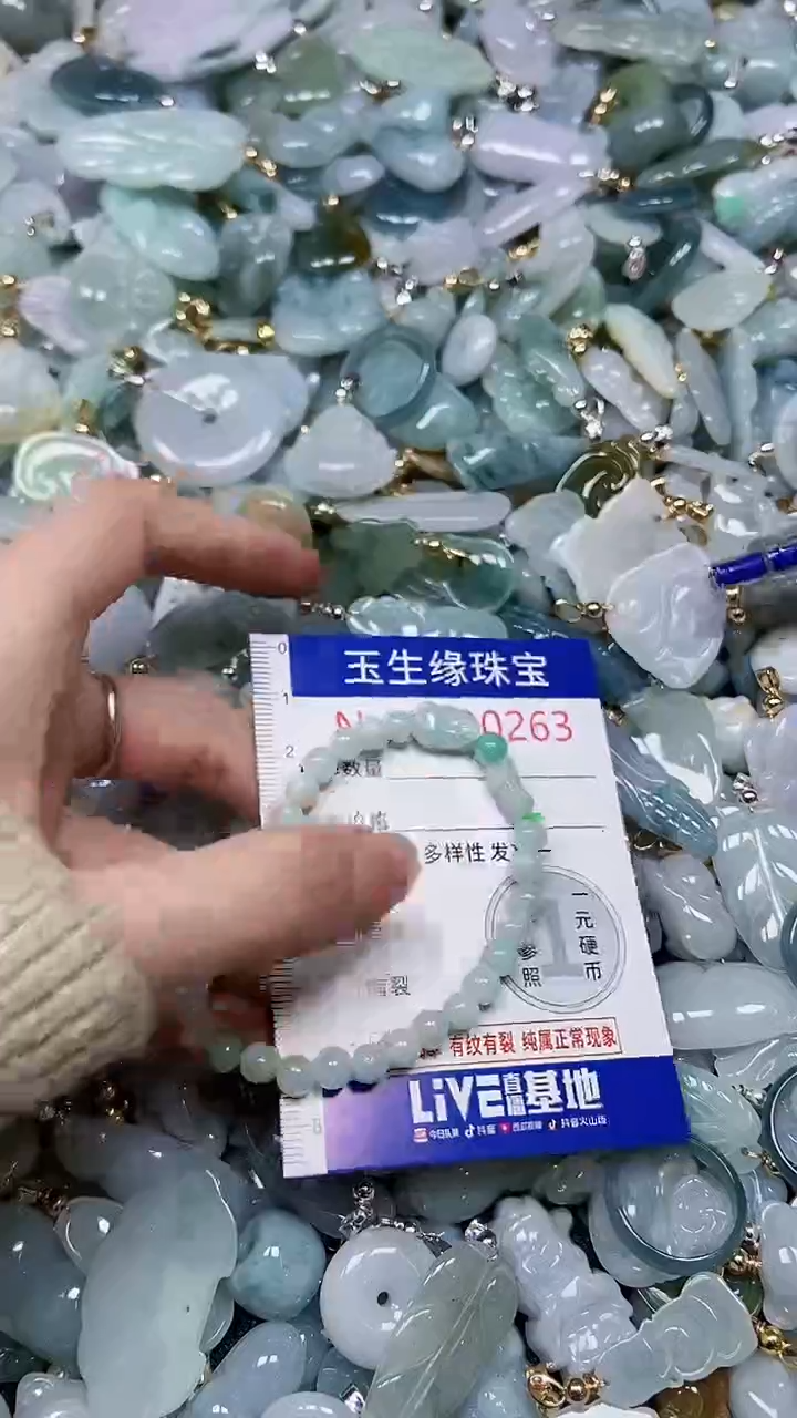 【闪购商品】翡翠颈饰未镶嵌闪购00000263