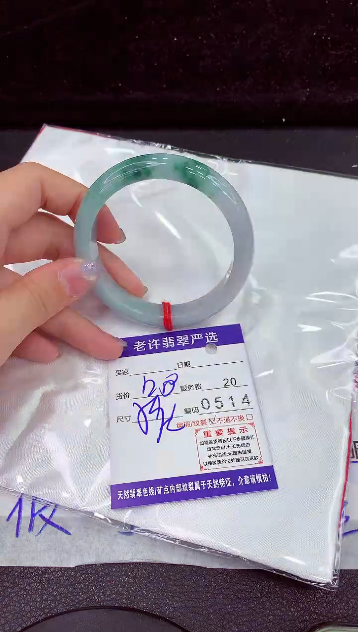 未镶嵌手镯翡翠1