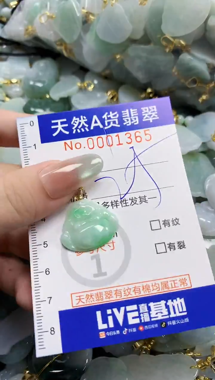 颈饰未镶嵌翡翠天然A货翡翠