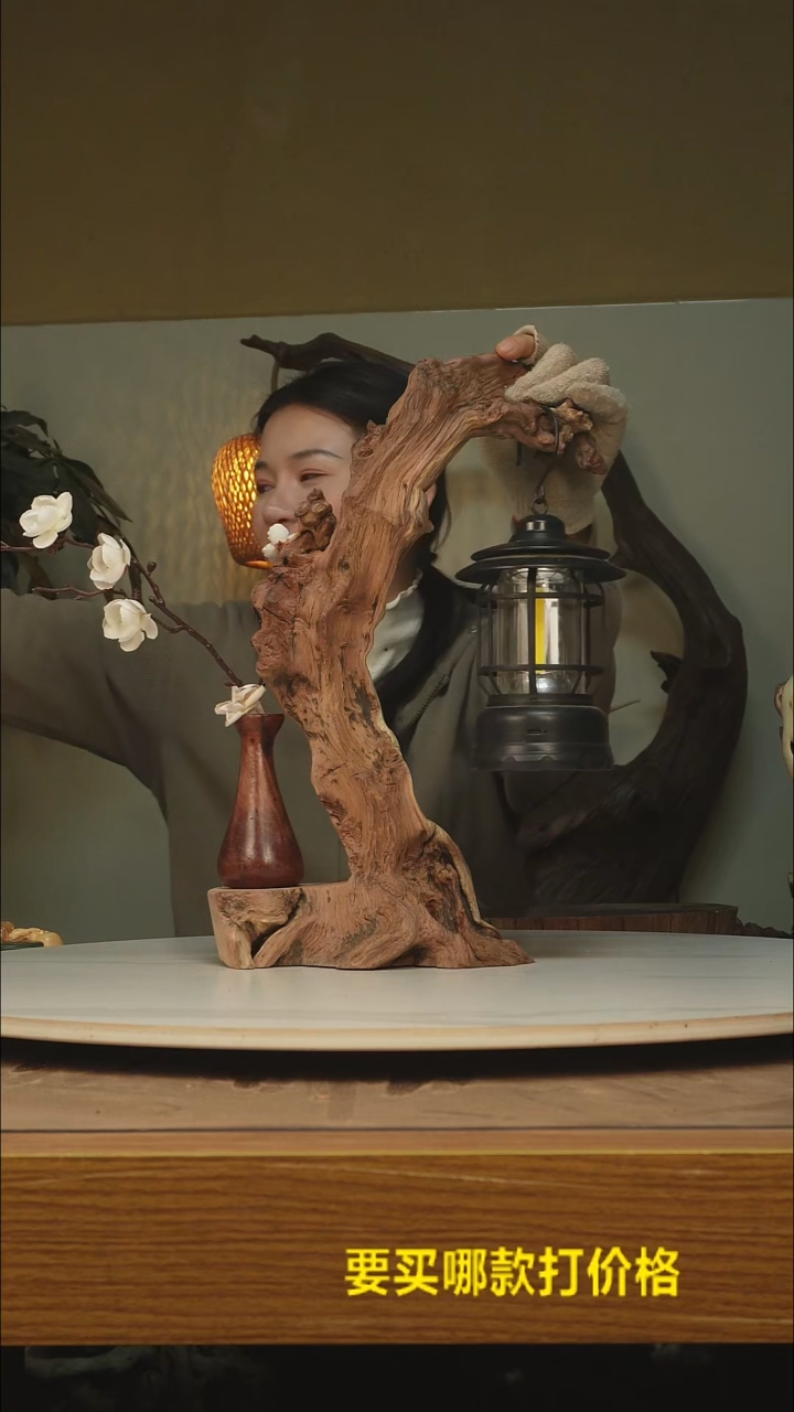 木再***-根雕摆件类855