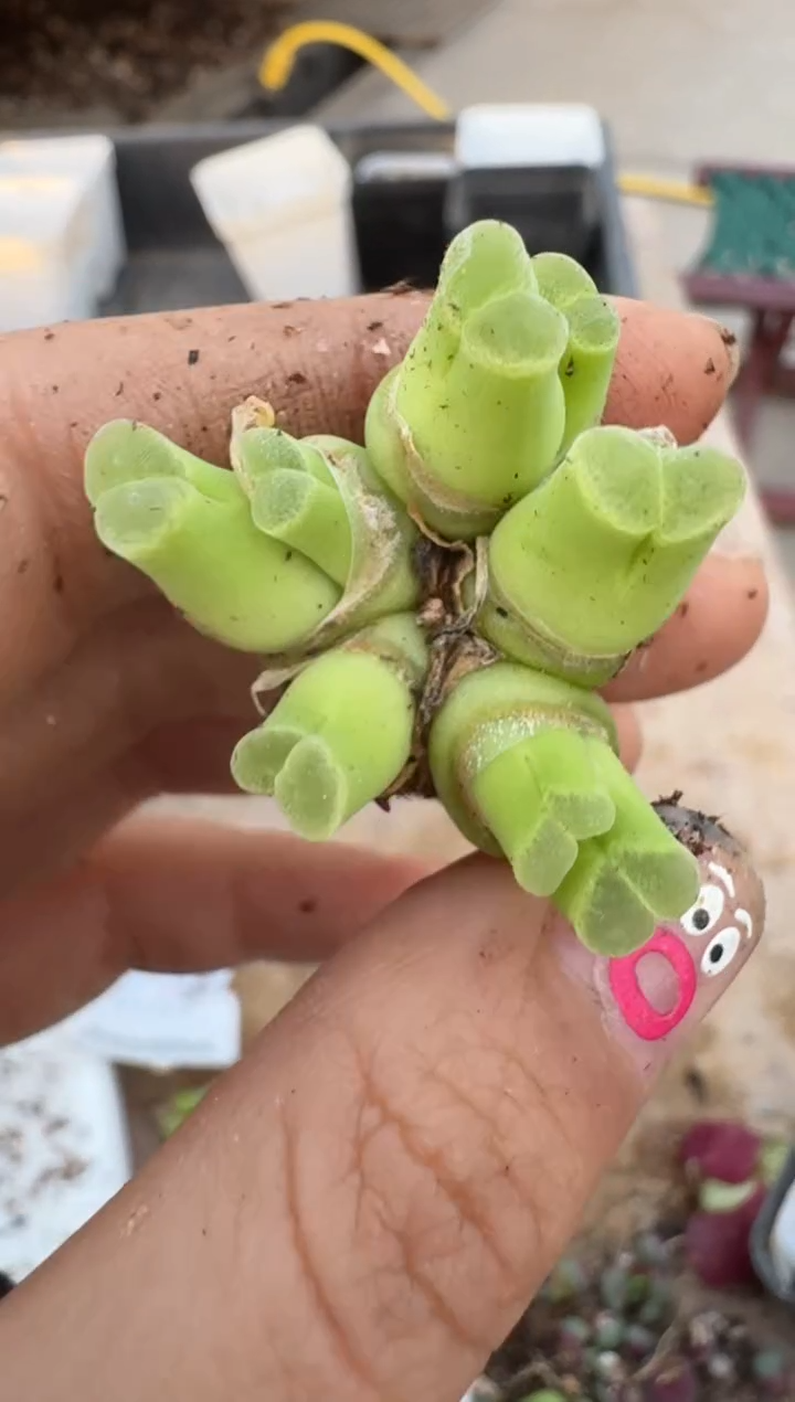 【闪购商品】16-220