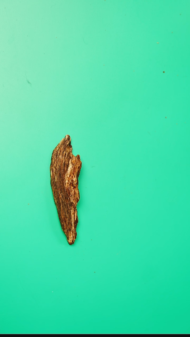 沉香沉香碎屑海南黑油格虫漏碎料2.5g   9100