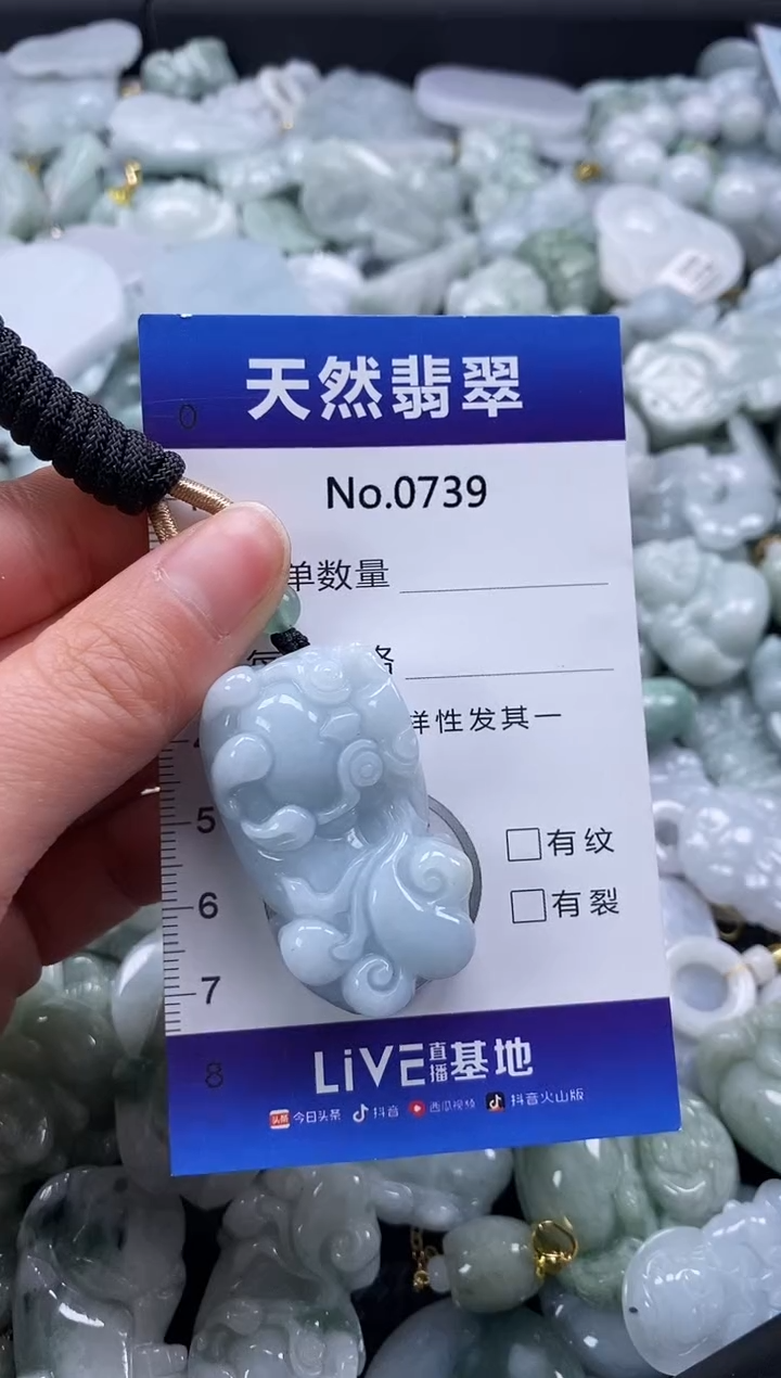 【闪购商品】翡翠颈饰未镶嵌缅甸A货翡翠0739