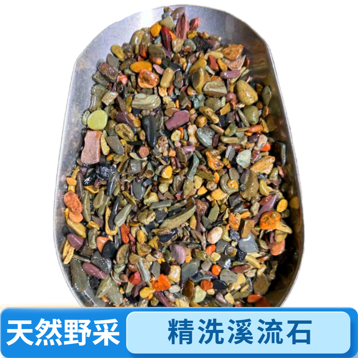 溪流缸鱼缸造景溪流石溪流砂原生缸底沙河砂雷龙鱼化妆鱼缸造景