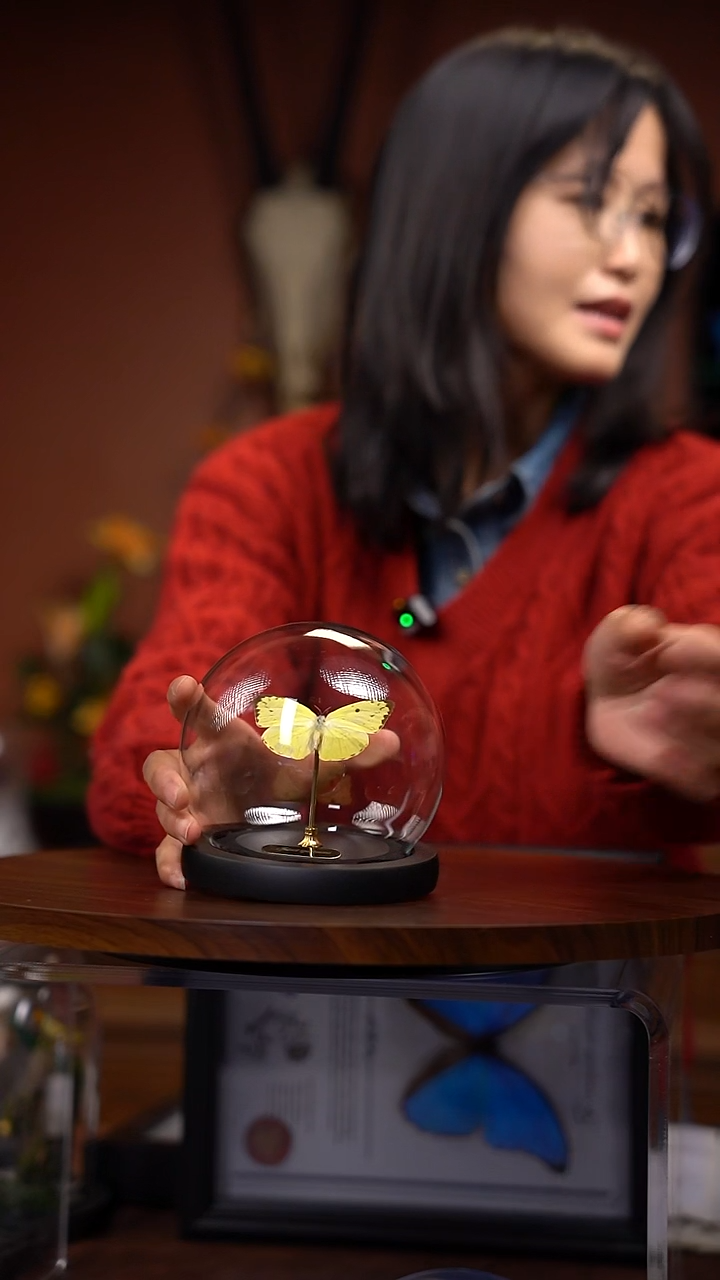 N141   迁粉蝶玻璃球款   