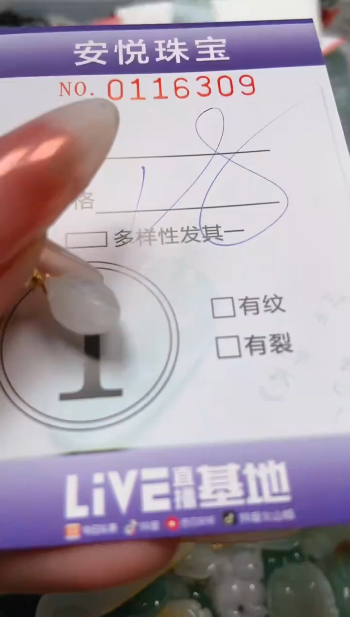 【闪购商品】翡翠颈饰未镶嵌闪购0116309