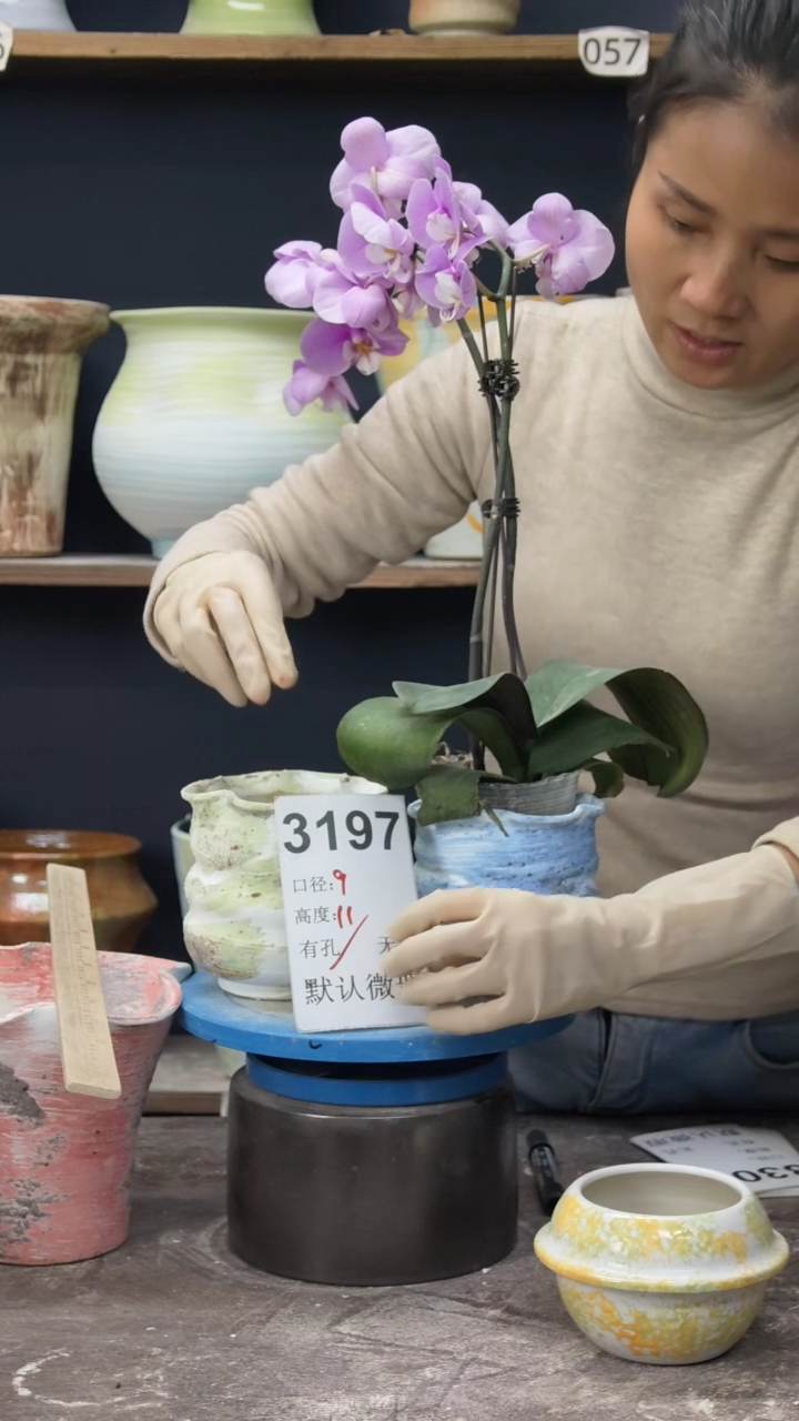 景德镇花盆默认微瑕3197