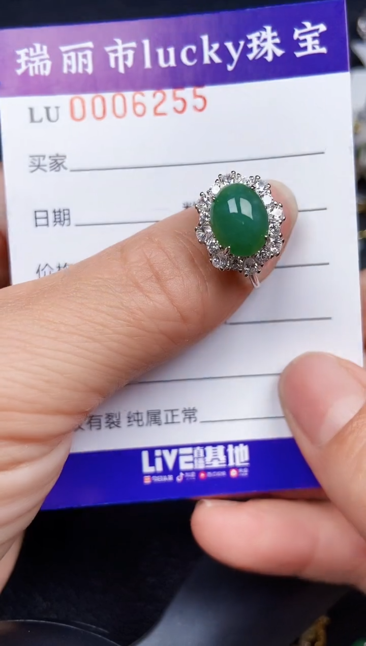 翡翠银S925镶嵌颈饰6255