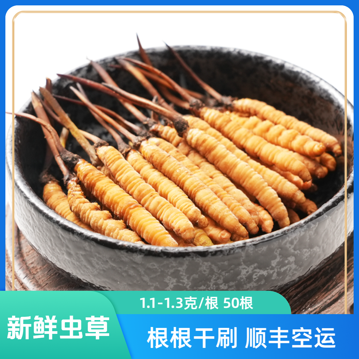 【央吉专属】1.1-1.3克/根50根 2025新鲜冬虫夏草滋补食用送礼